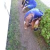 wolont_1