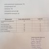 wybory_16