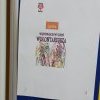 Dzień wolontariatu