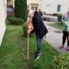 Akcja żonkil 2020