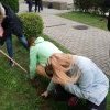 Akcja żonkil 2020
