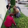 Akcja żonkil 2020