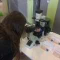 bfn_4