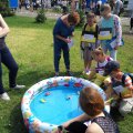 rsz_img_20160531_104335